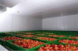 म्याग्दी र मुस्ताङमा चिस्यान गृह निर्माण